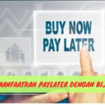 Memanfaatkan Paylater dengan Bijak